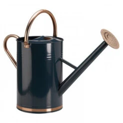 Gieter 9 Liter Verzinkt -Tuinbenodigdheden image 111