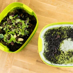 Worm Composter Lime 6 Worm Composter Lime -Tuinbenodigdheden image 1117