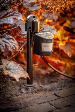Garden Lights 12V Bewegingssensor (max 60W) -Tuinbenodigdheden image 1437