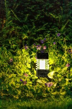 Garden Lights Phobos -Tuinbenodigdheden image 1442