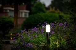 Garden Lights Silia -Tuinbenodigdheden image 1456