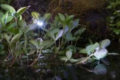 Heissner Smart Light Spot 9W RGB Metaal -Tuinbenodigdheden image 1483