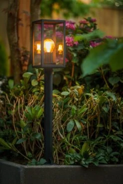 Garden Lights Limosa 70 -Tuinbenodigdheden image 1521