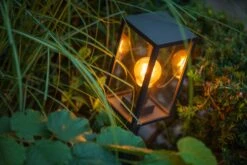 Garden Lights Limosa 70 -Tuinbenodigdheden image 1522