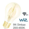 Franssen Wiz Ledlamp 2000k-4500k Wifi