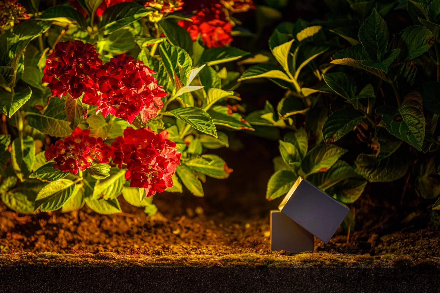 Garden Lights Nano 2 Garden Lights Nano - Afbeelding 2