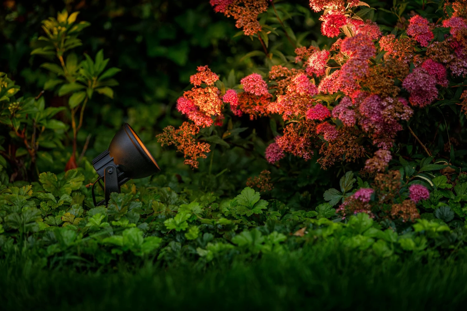 Garden Lights Raf 2 Garden Lights Raf - Afbeelding 2