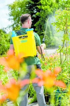 Gloria Rugspuit Hobby 12 Liter -Tuinbenodigdheden image 243