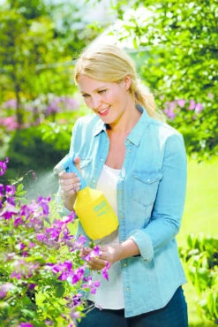 Gloria Fijnsproeier Hobby Flex 10 1 Liter -Tuinbenodigdheden image 276