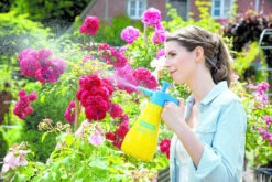 Gloria Fijnsproeier Hobby Flex 10 1 Liter -Tuinbenodigdheden image 277