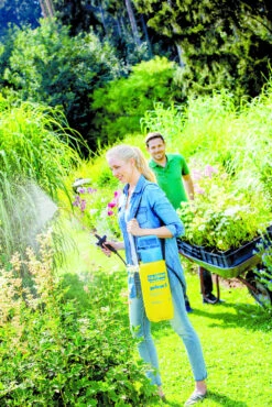 Gloria Drukspuit Prima 5 Liter -Tuinbenodigdheden image 318