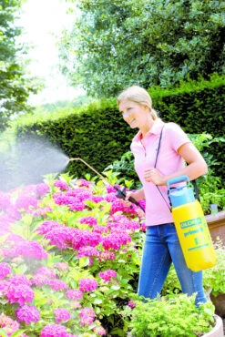 Gloria Drukspuit Prima 5 Liter -Tuinbenodigdheden image 320