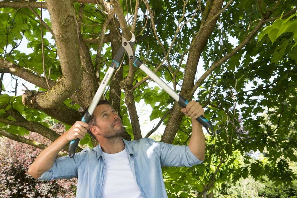 Gardena Takkenschaar EnergyCut 750A 8 Gardena Takkenschaar EnergyCut 750A - Afbeelding 8