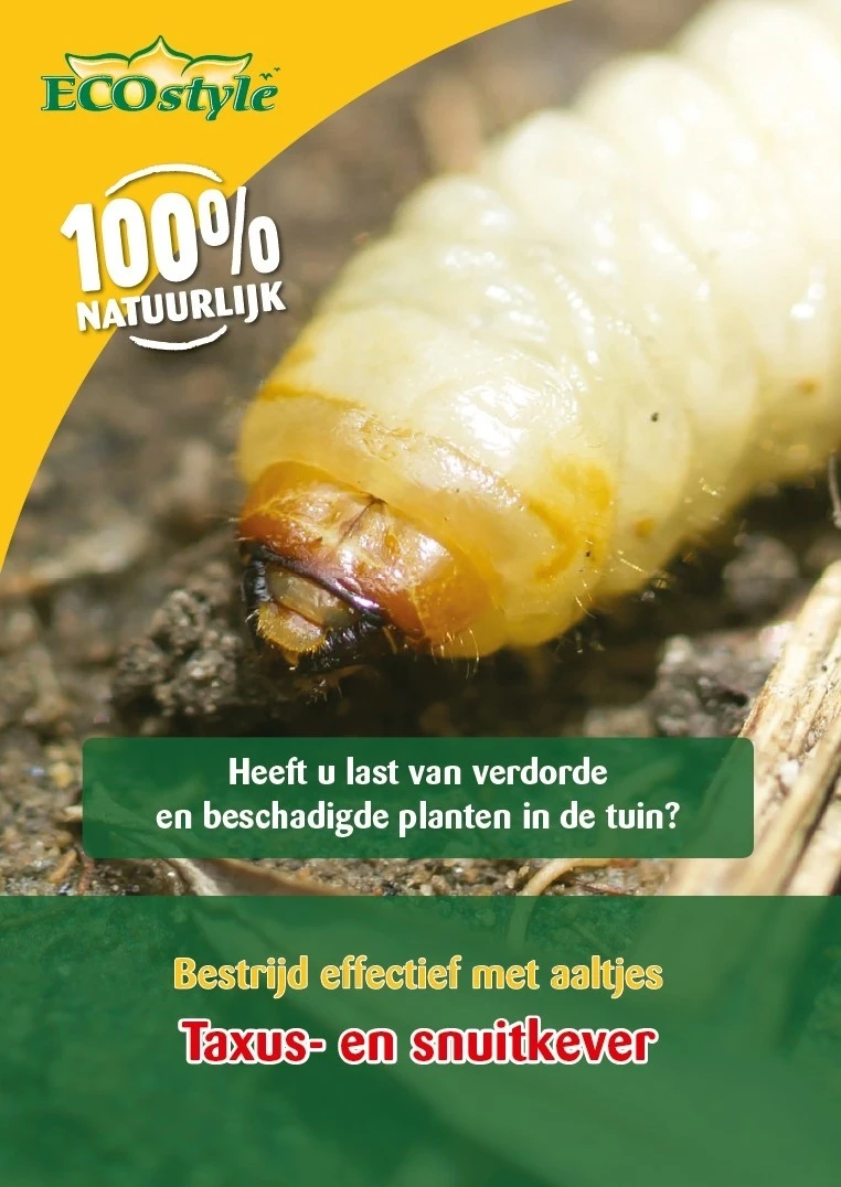 ECOstyle Aaltjes H Tegen Larven Taxus- En Snuitkever 5 Mln/10 M2 1 ECOstyle Aaltjes H Tegen Larven Taxus- En Snuitkever 5 Mln/10 M2