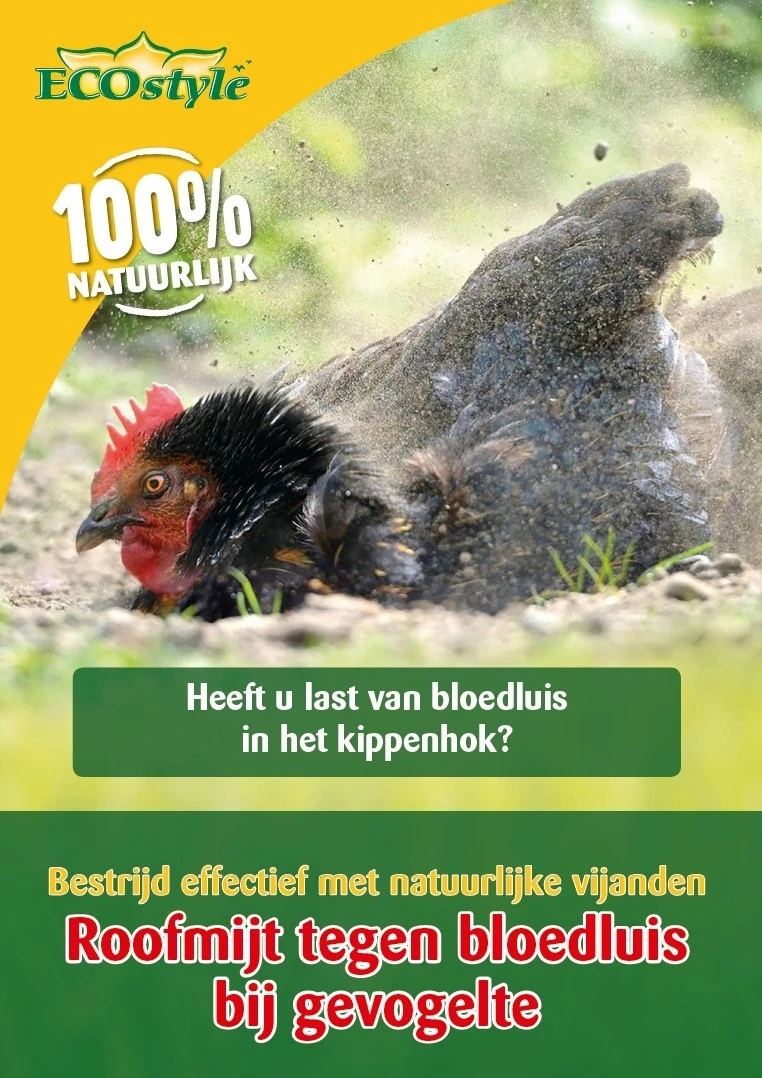 ECOstyle Roofmijt Tegen Bloedluis Bij Gevogelte 5.000 St. 1 ECOstyle Roofmijt Tegen Bloedluis Bij Gevogelte 5.000 St.