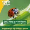 ECOstyle Larven Lieveheersbeestje Tegen Bladluizen 100 St.