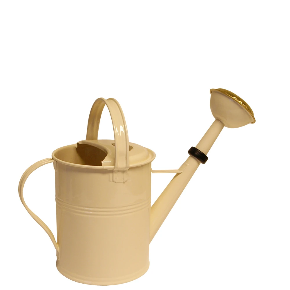 TFA Dostmann Thermometer Binnen/buiten Metaal Wit