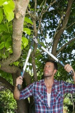 Gardena Takkenschaar EnergyCut 750B -Tuinbenodigdheden image 698