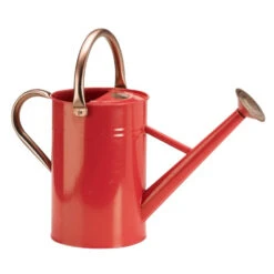 Gieter 4,5 Liter Verzinkt -Tuinbenodigdheden image 79