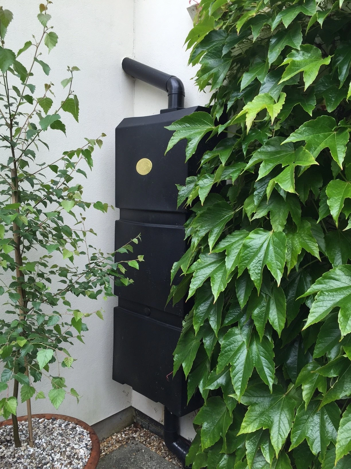 Prestige Wand Regenton Zwart 100L (incl. Plastic Kraantje) 2 Prestige Wand Regenton Zwart 100L (incl. Plastic Kraantje) - Afbeelding 2