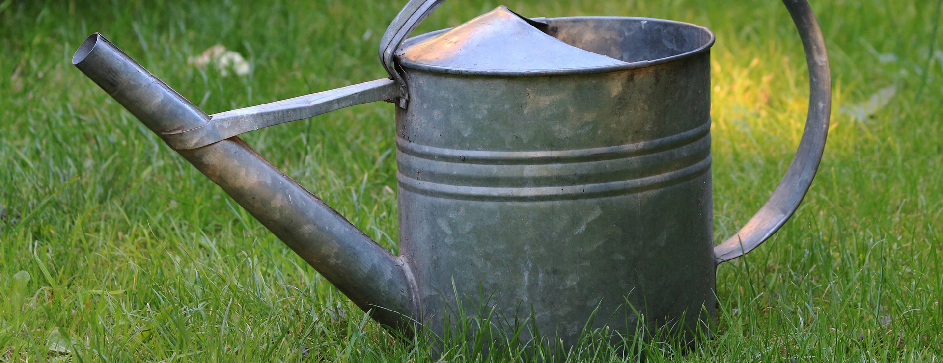 Tuinbenodigdheden -Tuinbenodigdheden watering can 828542 1920